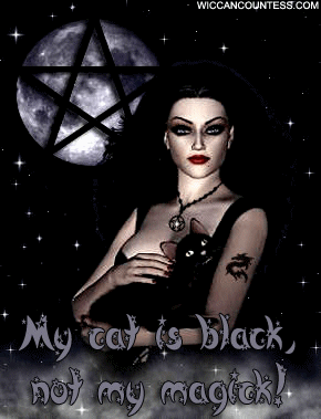 my_cat_is_black_not_my_magick.gif